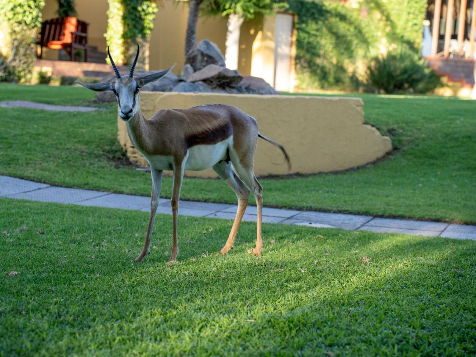 Sunriver Kalahari Lodge Riverside Stay In Upington Buitenkant foto